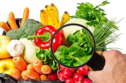 О проведении месячника качества и безопасности овощей и фруктов