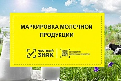 Правила маркировки молочной продукции средствами идентификации