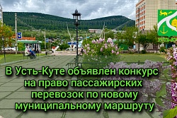 В Усть-Куте объявлен открытый конкурс на право пассажирских перевозок по новому муниципальному маршруту 
