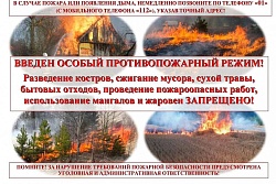 В Иркутской области сохраняется пожароопасная обстановка, в муниципалитетах введены серьёзные ограничения